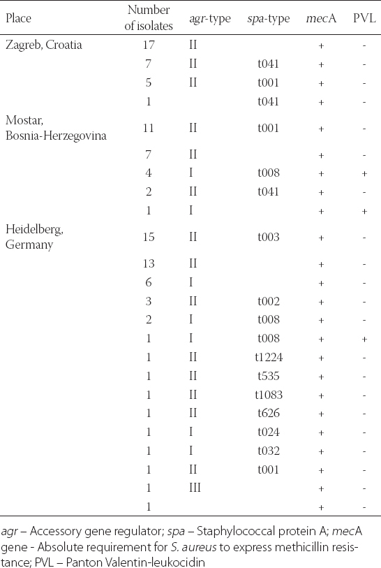 Genotypic And Phenotypic Characteristics Of Methicillin Resistant Staphylococcus Aureus Mrsa Strains Isolated On Three Different Geography Locations Bosnian Journal Of Basic Medical Sciences