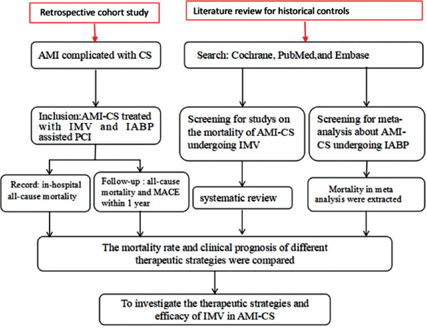 Septic cardiomyopathy: Diagnosis and management☆