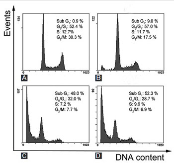 Salvia miltiorrhiza extract dihydrotanshinone induces apoptosis and inhibits proliferation of glioma cells