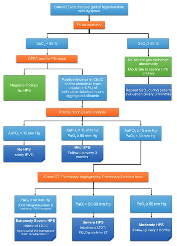 Differential diagnosis of hepatopulmonary syndrome (HPS): Portopulmonary hypertension (PPH) and hereditary hemorrhagic telangiectasia (HHT)