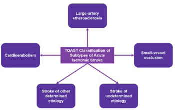 Progress on diabetic cerebrovascular diseases