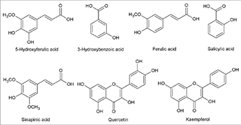 Evaluation Of Phenolic Profile Enzyme Inhibitory And Antimicrobial Activities Of Nigella Sativa L Seed Extracts Bosnian Journal Of Basic Medical Sciences