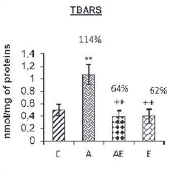 Eucalyptus globulus extract protects upon acetaminophen-induced kidney damages in male rat