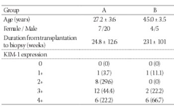 Kidney injury molecule-1 expression is closely associated with renal allograft damage