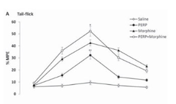 Role of D1/D2 dopamin receptors antagonist perphenazine in morphine analgesia and tolerance in rats