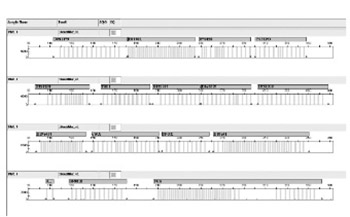 Optimization of DNA concentration to amplify short tandem repeats of human genomic DNA