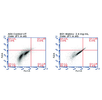 Matrine induced G0/G1 arrest and apoptosis in human acute T-cell lymphoblastic leukemia (T-ALL) cells