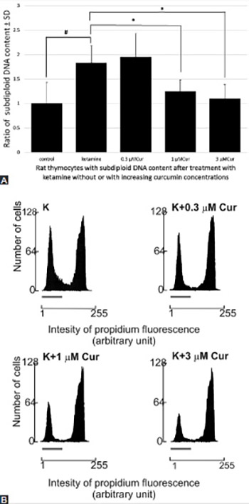 Modulatory effect of curcumin on ketamine-induced toxicity in rat thymocytes: Involvement of reactive oxygen species (ROS) and the phosphoinositide 3-kinase (PI3K)/protein kinase B (Akt) pathway