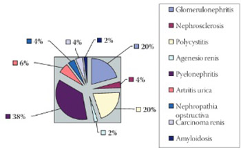 Risk Factors for Development of Cardiovascular Complications in Patients with Chronic Renal Disease and Diabetic Nephropathy