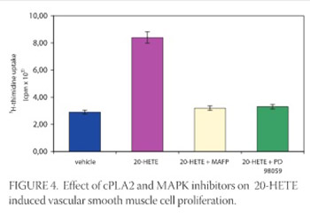 Endothelin-1 Induced Vascular Smooth Muscle Cell Proliferation is Mediated by Cytochrome P-450 Arachidonic Acid Metabolites