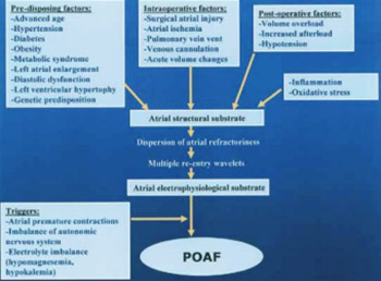 Atrial Fibrillation and Coronary Bypass Surgery – What Can Be Risk Factors for its' Appearance?