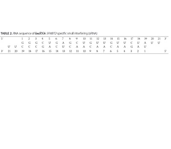 Analysis of long non-coding RNA (lncRNA) expression in hepatitis B patients