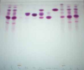 Identification and Isolation of Pharmacologically Active Triterpenes in Betuale Cortex, Betula Pendula Roth., Betulaceae