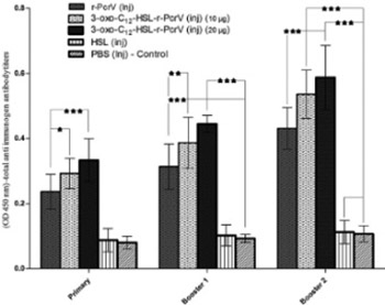 Immunization with 3-oxododecanoyl-L-homoserine lactone-r-PcrV conjugate enhances survival of mice against lethal burn infections caused by Pseudomonas aeruginosa