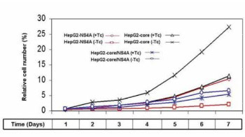 Inhibition of Hepatitis C virus (HCV) Core protein- induced Cell Growth by Non-structural Protein 4A (NS4A) is Mediated by Mitochondrial Dysregulation