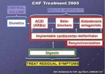 Echocardiographic Monitoring of Patients with Heart Failure