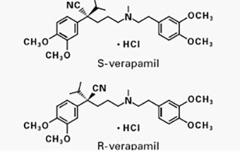 Using Verapamil as Protective Factor in Renal Ischemia Reperfusion Injury During Anatrophic Nephrolithotomy