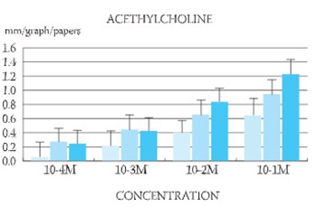 Postnatal - Physiological Research of the Bronchial Receptor System Development on the Isolated Preparation of The Human Trachea In Vitro