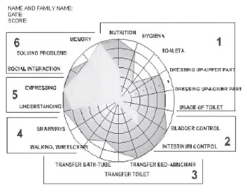 Family participation in determination of FIM and Barthel indices