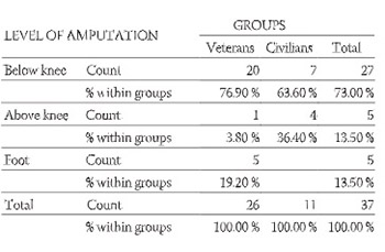 Chronic Low Back Pain in Individuals with Lower-limb Amputation