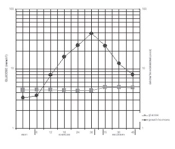 Serum Growth Hormone and Glucose Levels in Acute Exercise and in the Recovery Period in Athletes