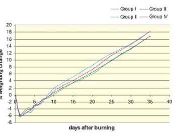 Topical treatment of standardised burns with herbal remedies in model rats