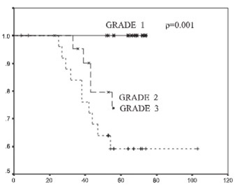 The Bcl-2 protein: a prognostic indicator strongly related to ER and PR in breast cancer