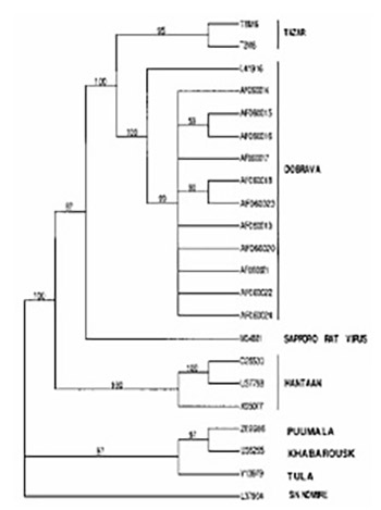 Hantavirus host/virus interactions within Southeast Europe