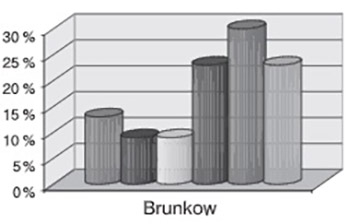 Brunkow exercises and low back pain