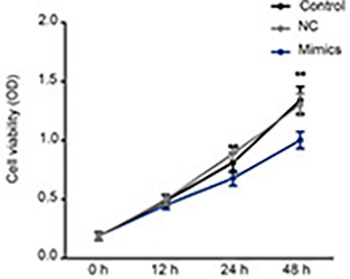 Overexpression of miR-361-5p in triple-negative breast cancer (TNBC) inhibits migration and invasion by targeting RQCD1 and inhibiting the EGFR/PI3K/Akt pathway