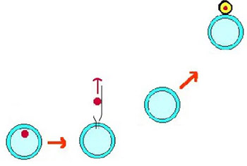 Cloning--philosophical, ethical and religious considerations