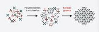 Recent advances in the identification and prediction of polymorphs