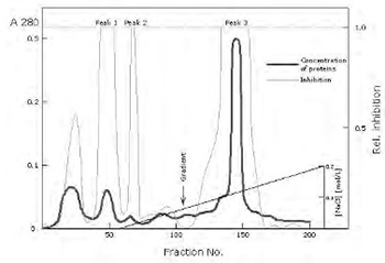 Isolation and immunochemical characterization of human cystatin C