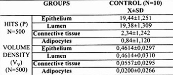 Stereological Analysis of the Mammary Gland in Primiparous Lactating Rats during the Lead Acetate Intoxication