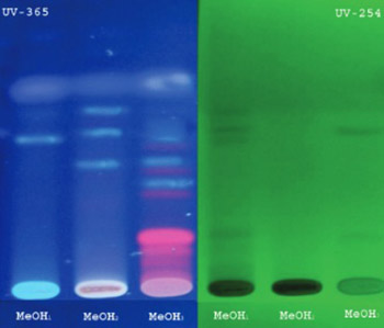 Anticoagulant activity of some Artemisia dracunculus leaf extracts