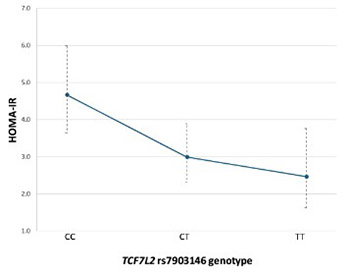 Effects of TCF7L2 rs7903146 variant on metformin response in patients with type 2 diabetes