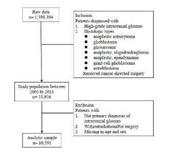 Characteristics and prognostic factors of age-stratified high-grade intracranial glioma patients: A population-based analysis