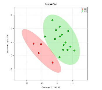 The potential of metabolic and lipid profiling in inflammatory bowel diseases: a pilot study