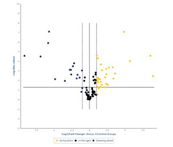 A preliminary study of microRNA expression in different types of primary melanoma