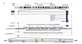 A male-specific association between AGTR1 hypermethylation and coronary heart disease