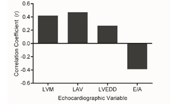 Making sense of subclinical cardiac alterations in patients with diabetes