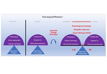 In vitro toxicity model: Upgrades to bridge the gap between preclinical and clinical research