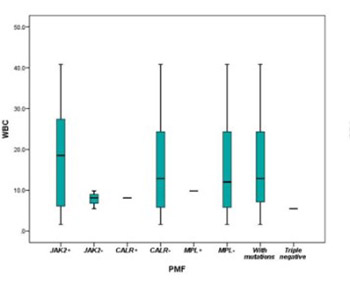 The effects of mutational profiles on phenotypic presentation of myeloproliferative neoplasm subtypes in Bosnia: 18 year follow-up