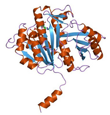 The key bacterial cell division protein FtsZ as a novel antibacterial drug target