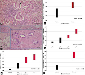 P2X7 receptor as an independent prognostic indicator in gastric cancer