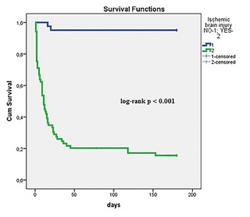 Neurological outcome in patients after successful resuscitation in out-of-hospital settings