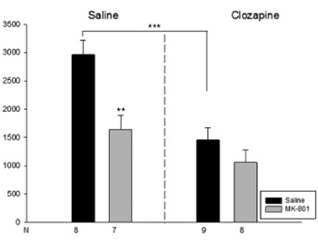 Effect of clozapine on locomotor activity and anxiety-related behavior in the neonatal mice administered MK-801