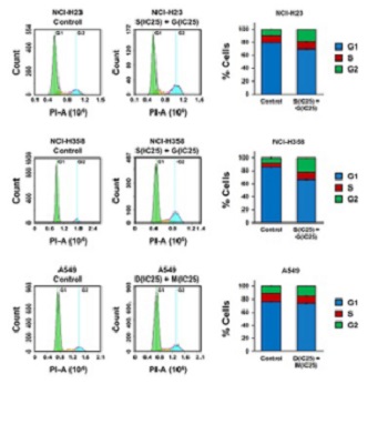 Combined inhibition of ACK1 and AKT shows potential toward targeted therapy against KRAS-mutant non-small-cell lung cancer
