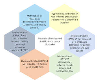 Epigenetically inactivated RASSF1A as a tumor biomarker