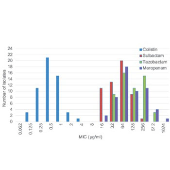 A prospective evaluation of synergistic effect of sulbactam and tazobactam combination with meropenem or colistin against multidrug resistant Acinetobacter baumannii